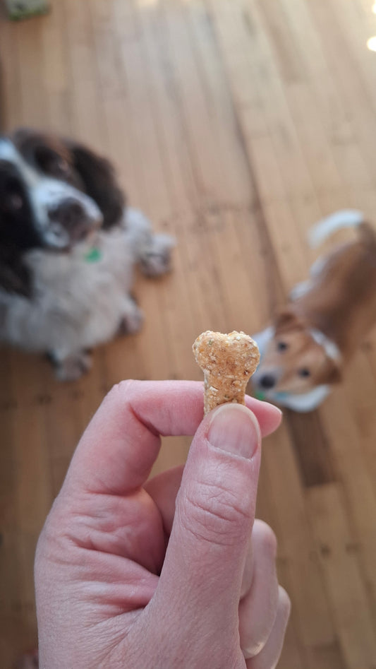 Apple, Carrot & Parsley Dog Biscuits | Homemade Dog Treats NZ