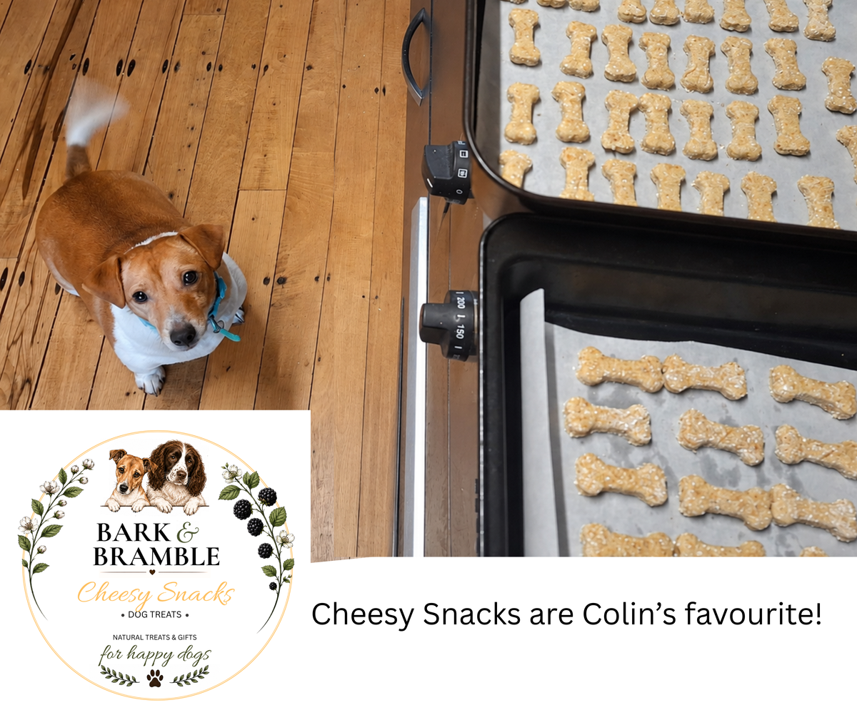 Cheesy Snacks Dog Biscuits | Homemade Dog Treats NZ