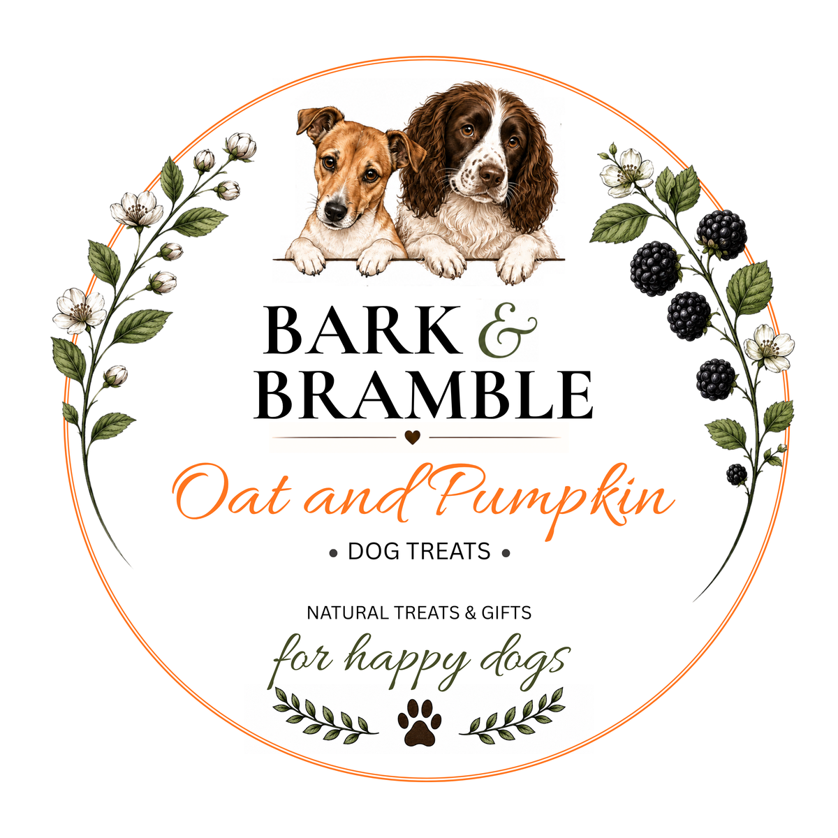 Oat & Pumpkin Dog Biscuits | Homemade Dog Treats NZ