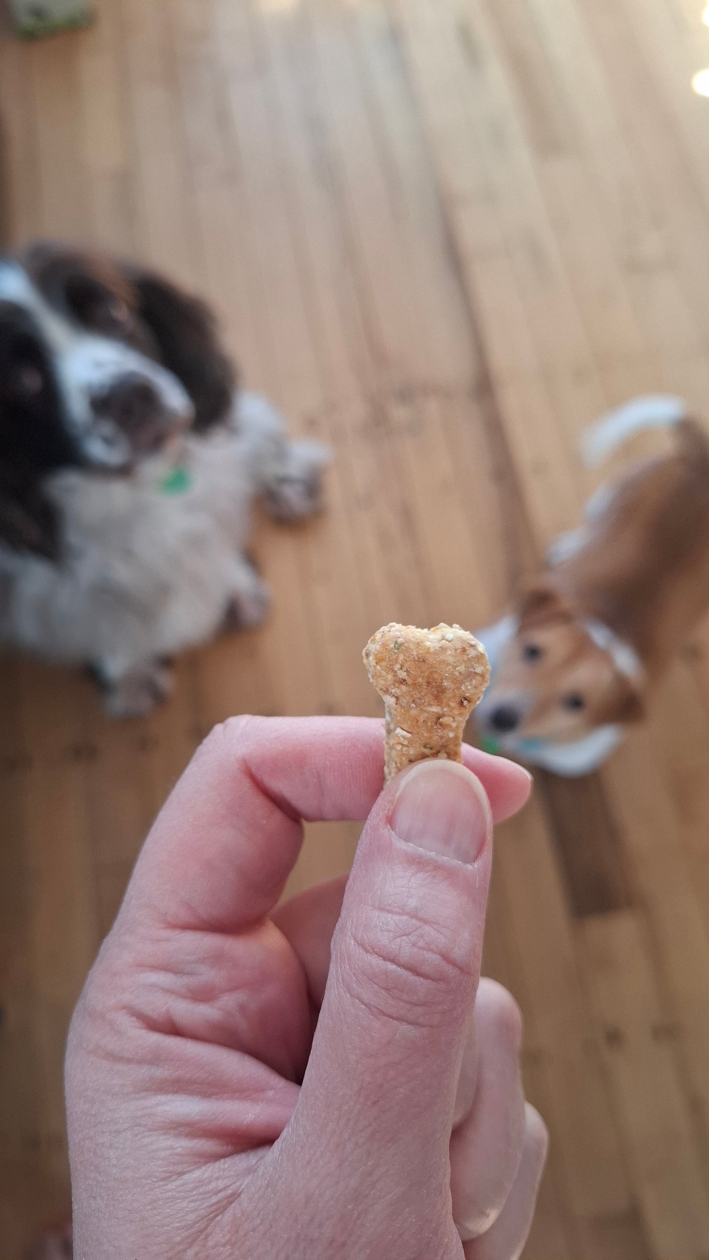 Apple, Carrot & Parsley Dog Biscuits  | Homemade Dog Treats NZ